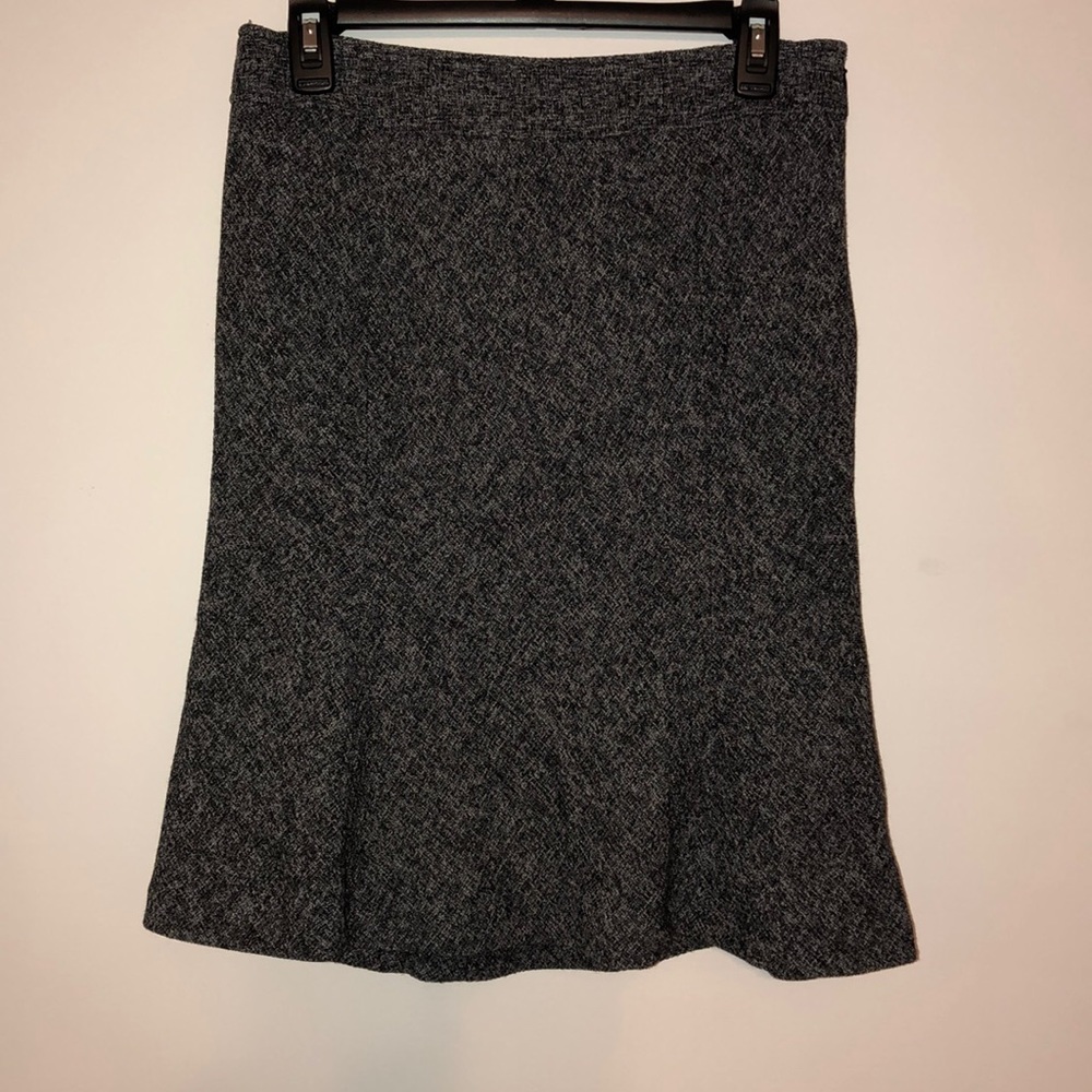 Ann Taylor Petites Women’s Skirt